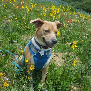 Fundraising Page: Kristin Grieshaber